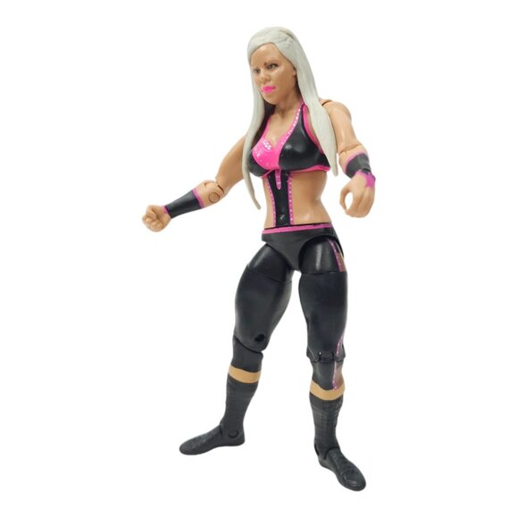 WWE Dana Brooke Wrestling Action Figure 6.25" Toy Loose 2013 Mattel - Picture 2 of 12
